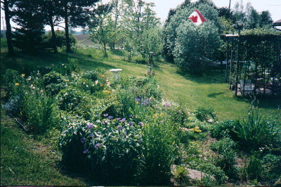 patio and garden photo
