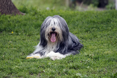 More important than all the wins, Barney was a wonderful companion.