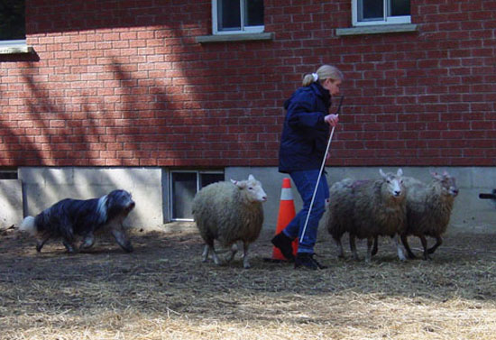 Kaesa practicing for HS in March 2004