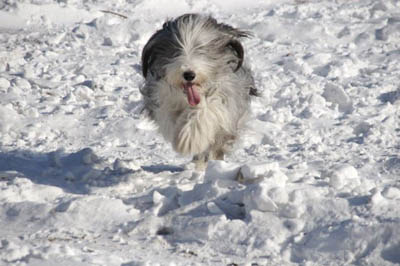 Kenny having a grand time in the snow!
