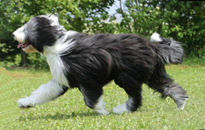 Lizzie on the move at 6 momnths of age