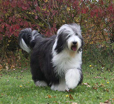 Lizzie at 9 months - a happy girl