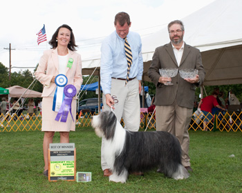 Lizzie: Best of Winners at Garden State soecialty; September 8, 2012