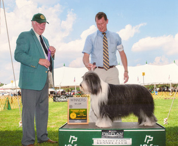 Lizzie - Winners female; September7, 2012
