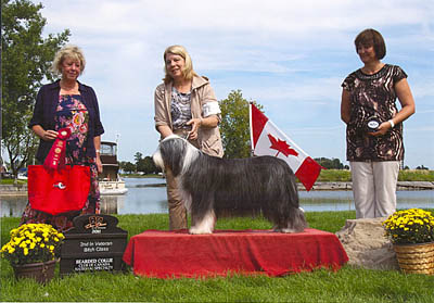 Windy at the 2011 BCCC Specialty