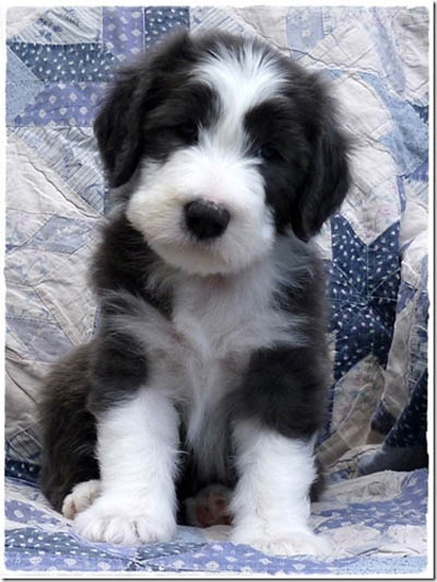 Cade sitting - at 7 weeks