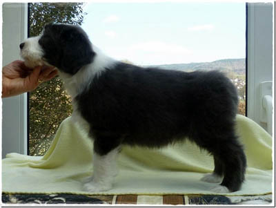 Cade standing  at 7 weeks