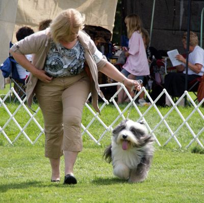 Windy moving out at the 2011 BCCC Specialty